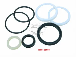 Bộ phớt xi lanh nghiêng 70001-22900