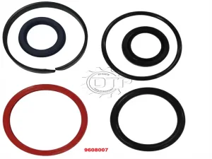 Bộ phớt xi lanh nghiêng 9608007