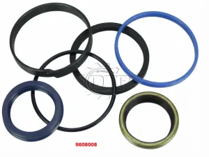 Bộ phớt xi lanh nghiêng 9608008
