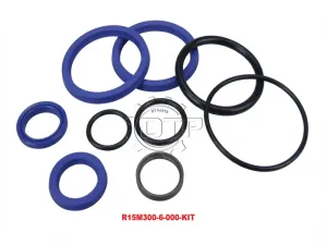 Bộ phớt xi lanh nghiêng R15M300-6-000-KIT