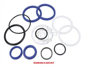 Bộ phớt xi lanh nghiêng R30M300-6-000-KIT
