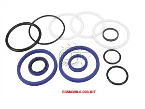 Bộ phớt xi lanh nghiêng R35M300-6-000-KIT