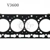 Gioăng nắp quy lát xe nâng V3600