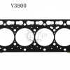 Gioăng nắp quy lát xe nâng V3800